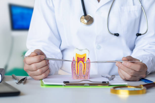 Best Orthodontic Emergency Dentist in Lake Forest, IL